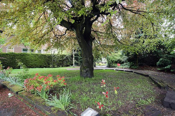 lister house nursing home gardens