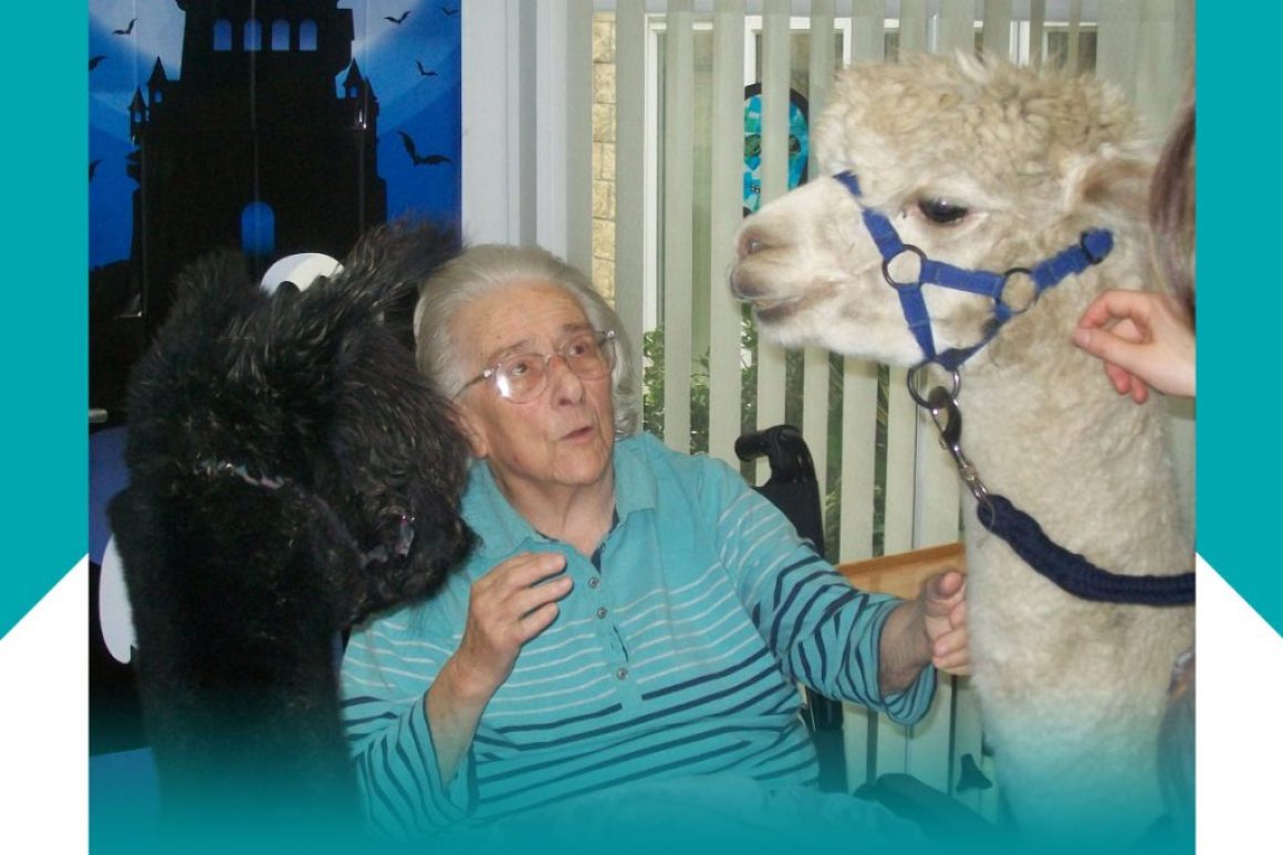 alpaca visit news