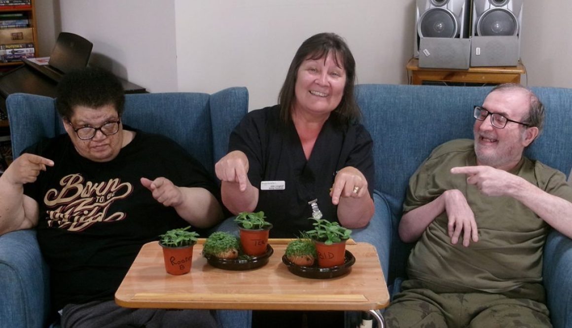sherrington house seed planting update main