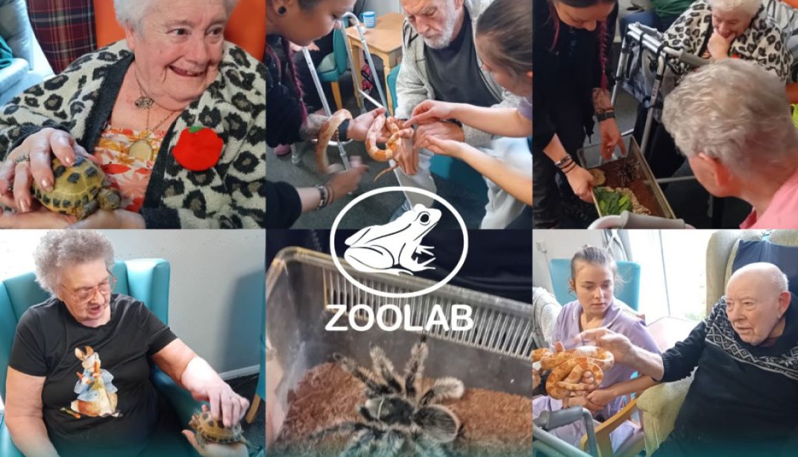 zoolab pontefract care home visit