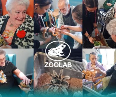 zoolab pontefract care home visit