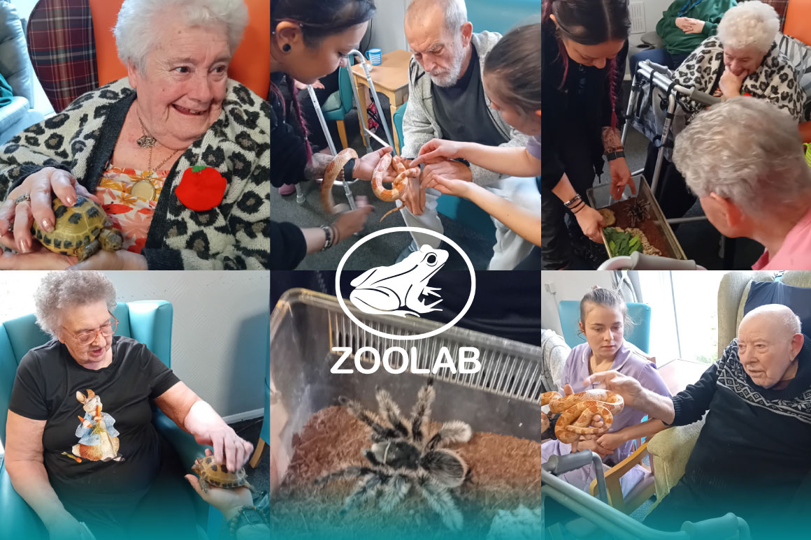 zoolab pontefract care home visit