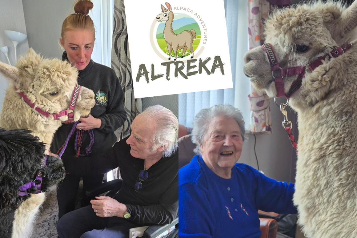 altreka alpaca aegis residential care home visit