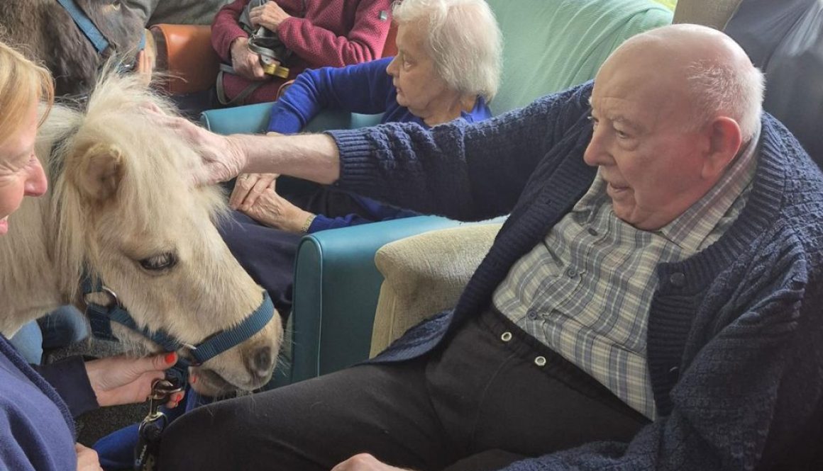 shetland pony visit aegis residential march 2026