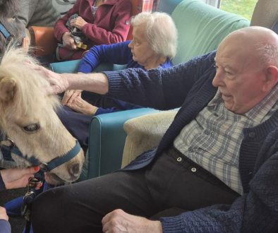 shetland pony visit aegis residential march 2026