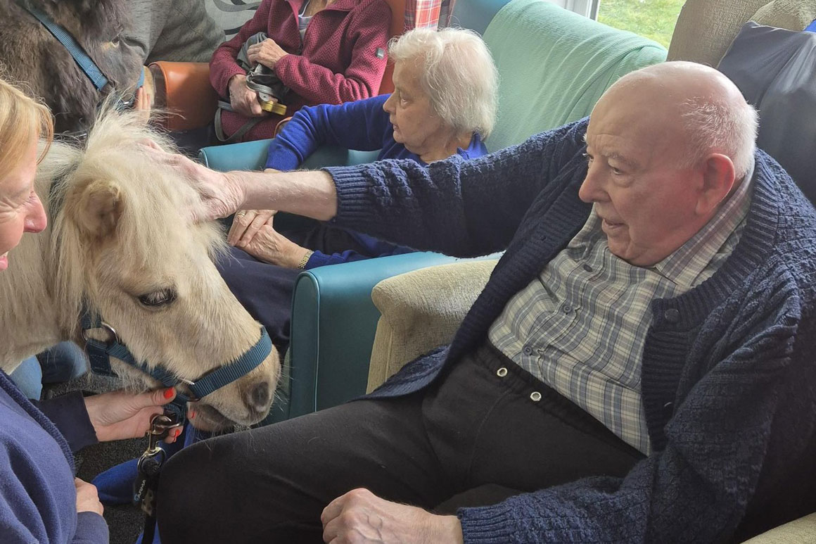 shetland pony visit aegis residential march 2026